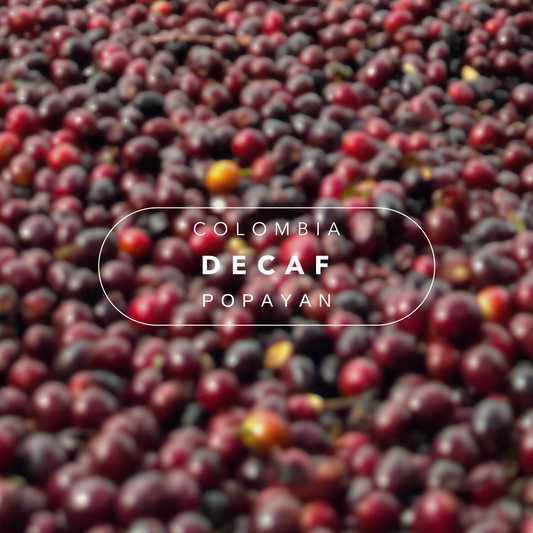 POPAYAN DECAF Colombia