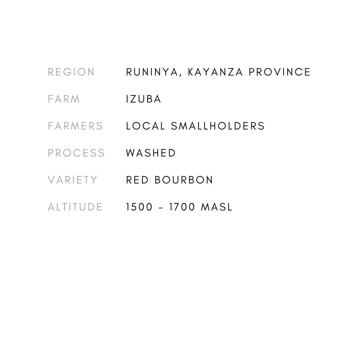 IZUBA WASHED Burundi