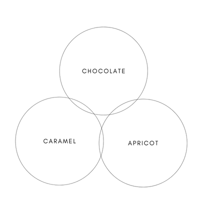 SAMBA Brazil (Natural)